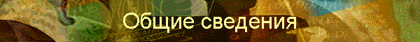 Общие сведения