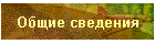 Общие сведения