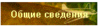 Общие сведения