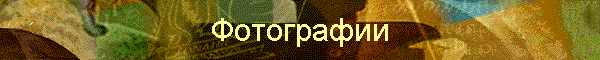 Фотографии