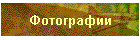Фотографии